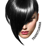 Arctic Fox Hair Dye Transylvania