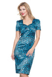 Serena Blue Leopard Print Dress